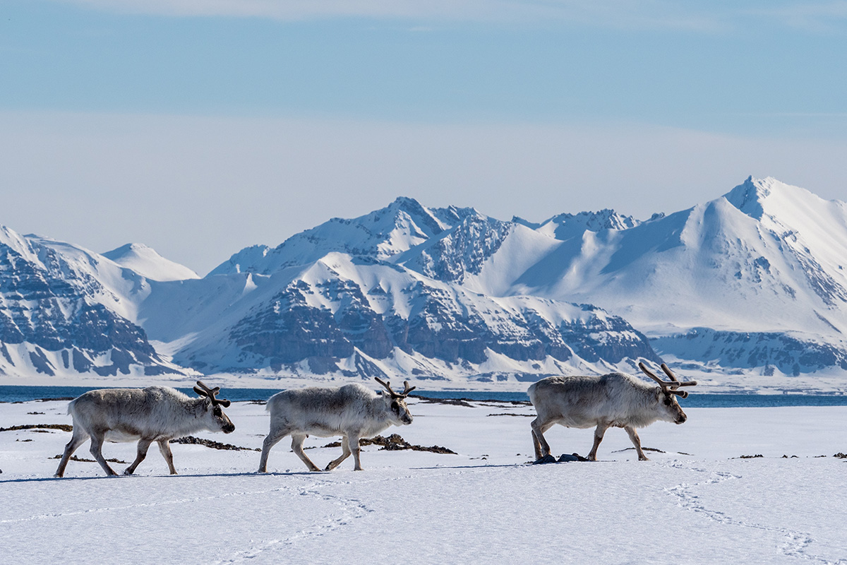 Svalbard expedition photo