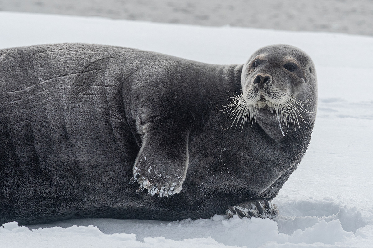 Svalbard expedition photo