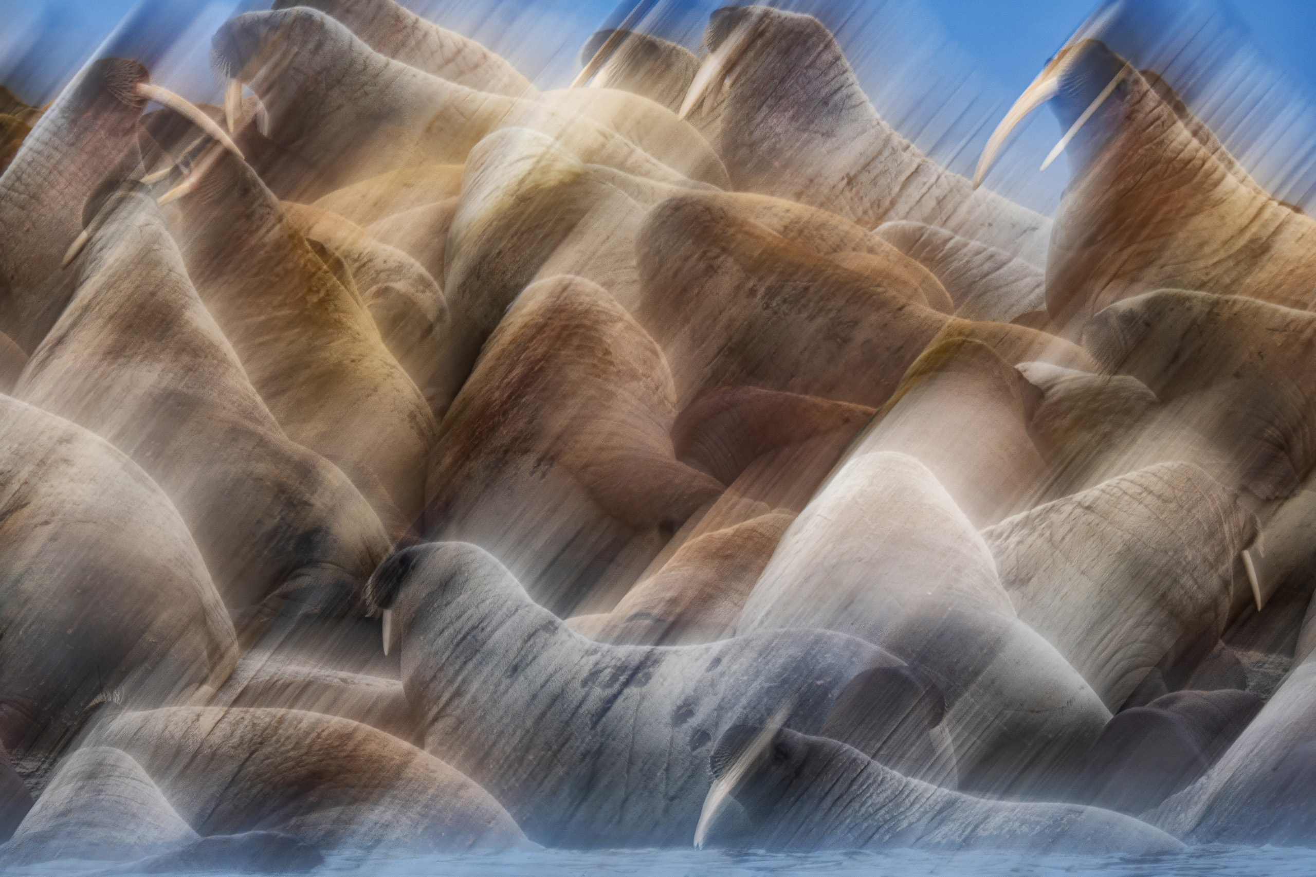 Abstract motion blur of browns and golds