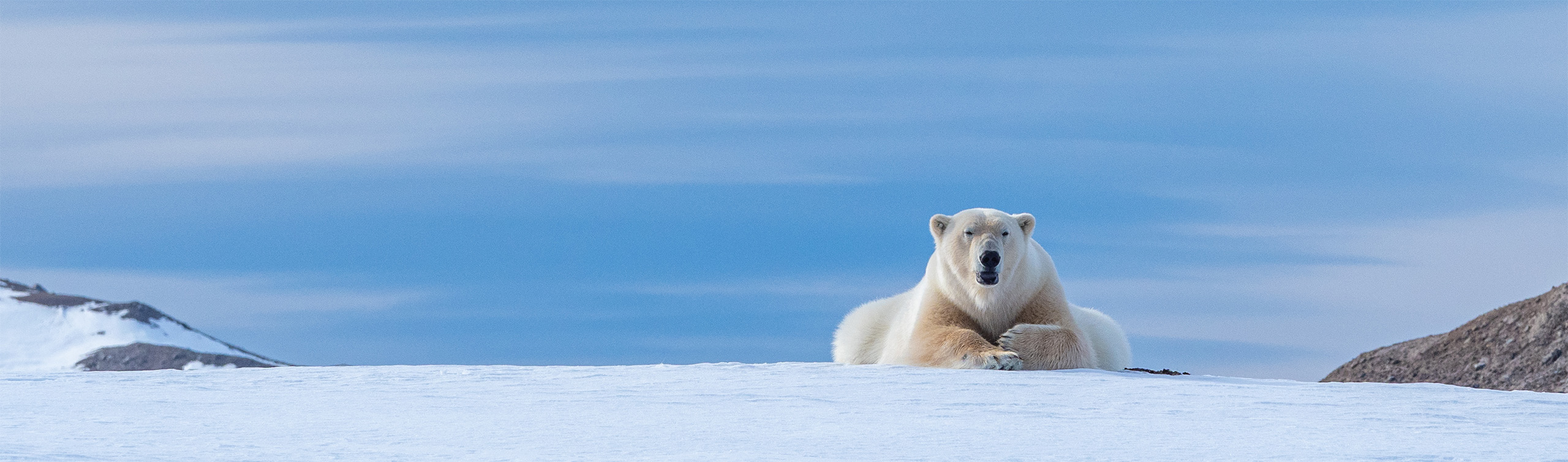 Svalbard Arctic Expedition 2026