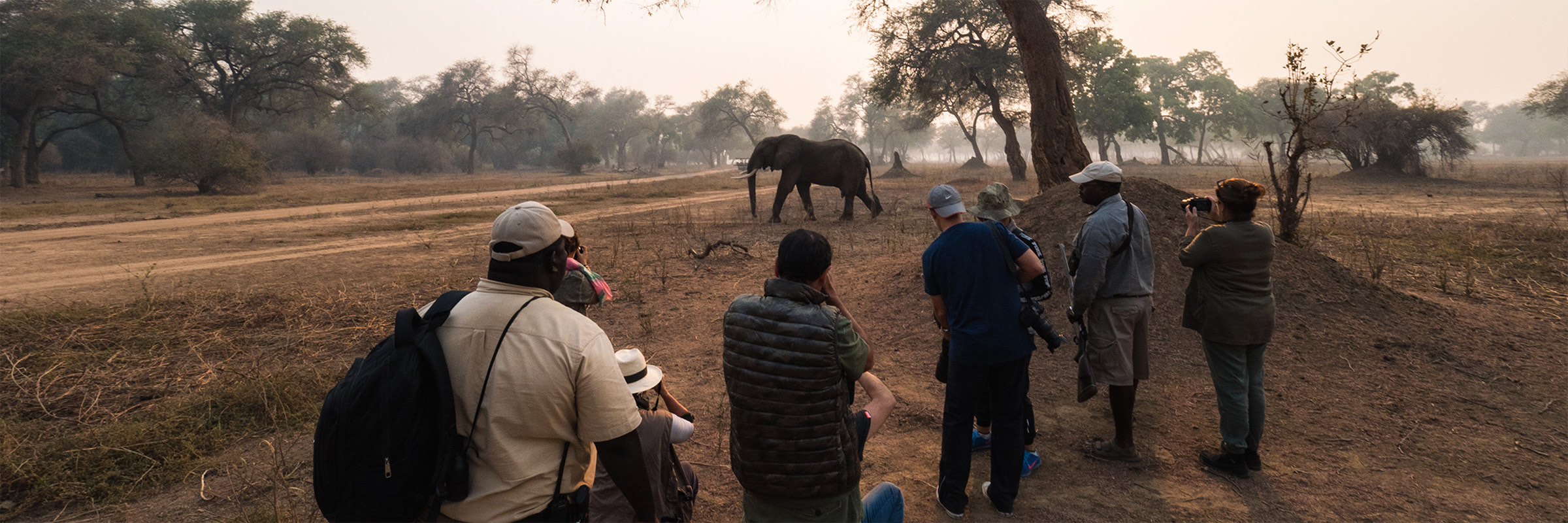 Gerry van der Walt - Safari Operations