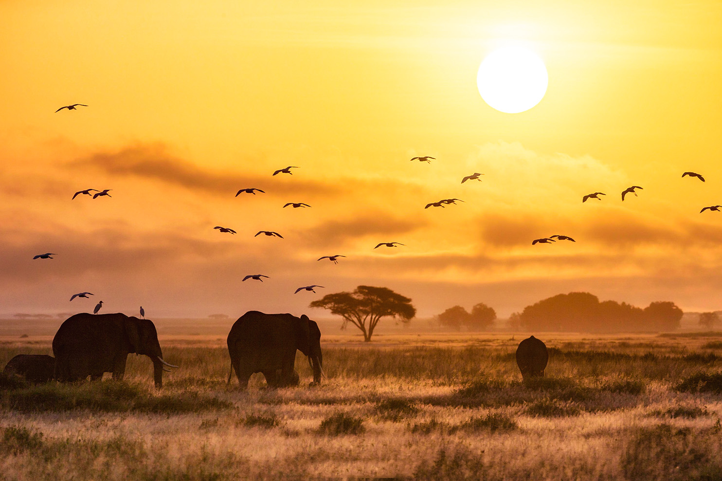 Greenland ice sheet crossing