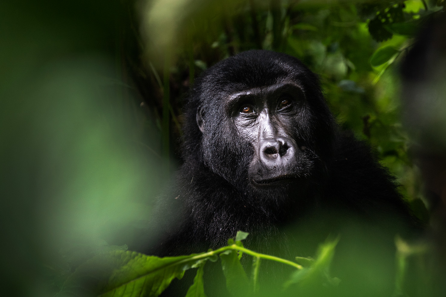 Creative studio work