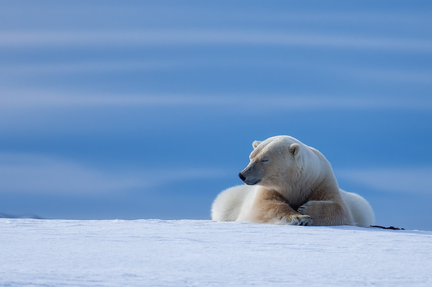 Mountain expedition, altitude