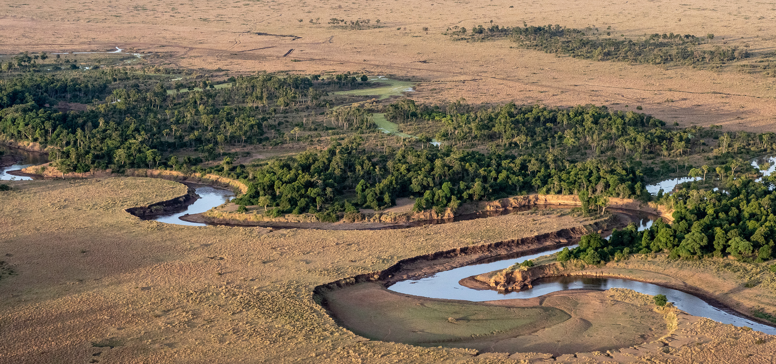 The Mara River winding through the plains from the air