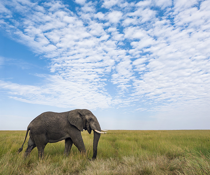 Landscape and nature