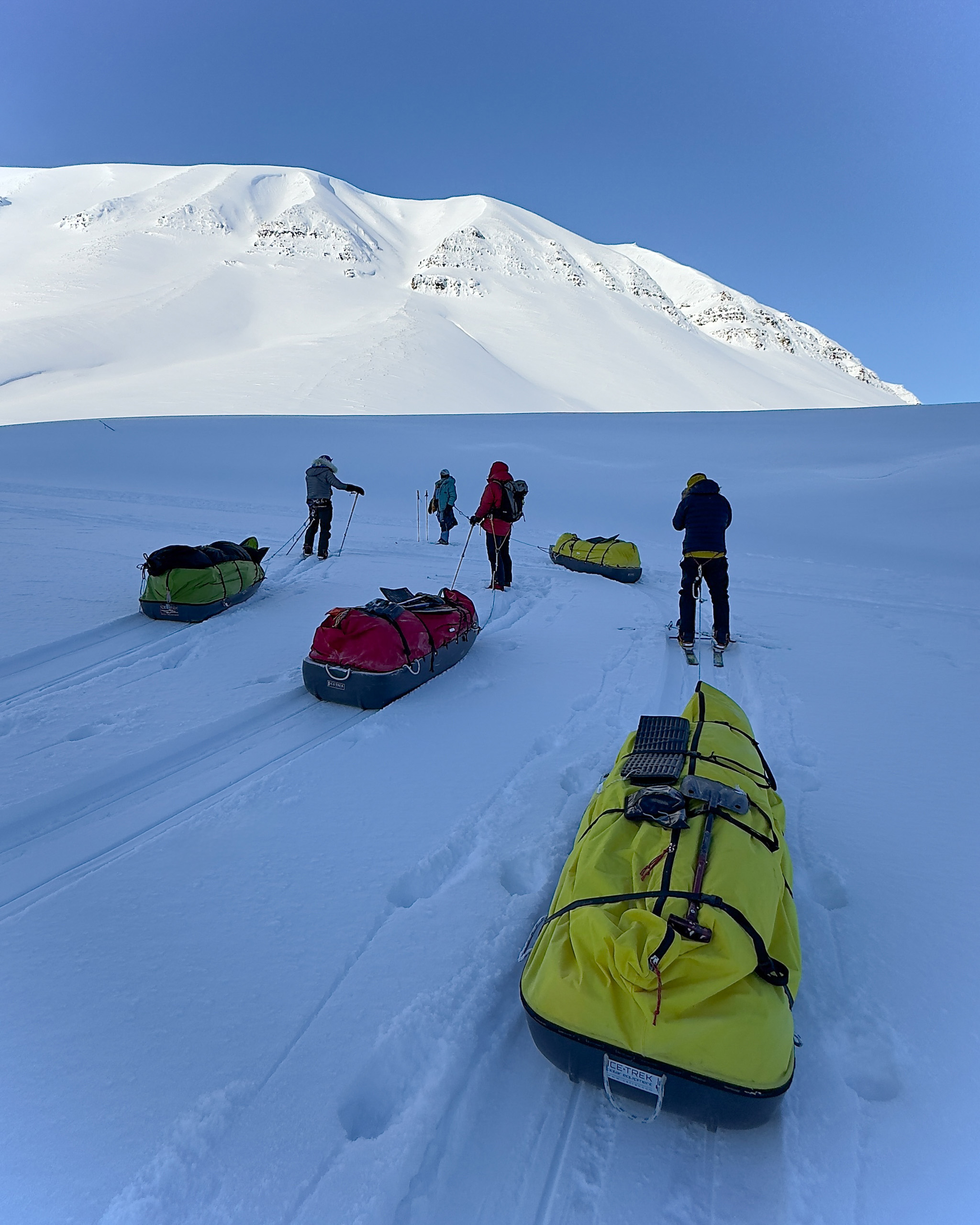 Loaded pulks lined up on the snow