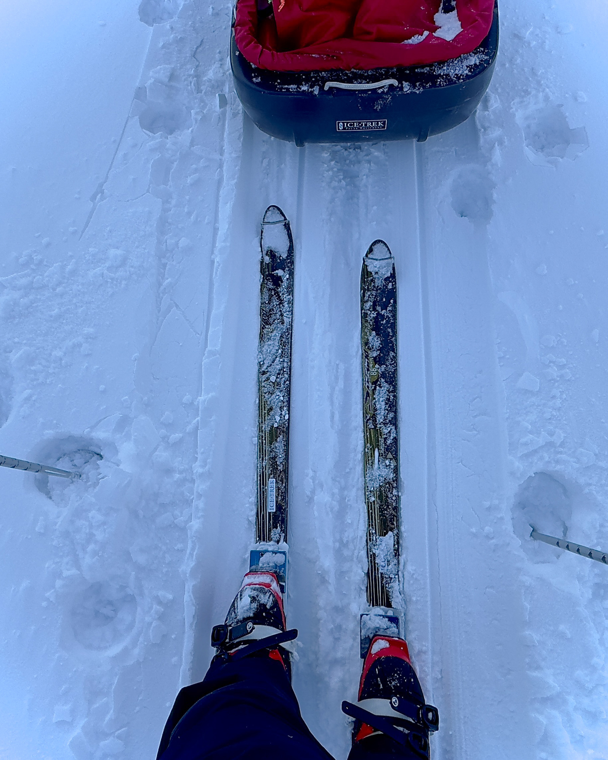 Skis on fresh snow