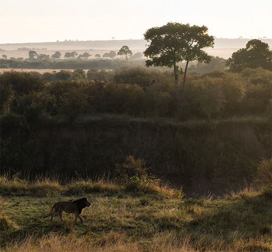 PVT Kenya Safari August 2026