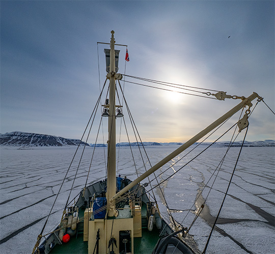 Svalbard Photo Tour May 2027
