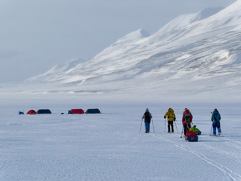 Polar Primer, Svalbard