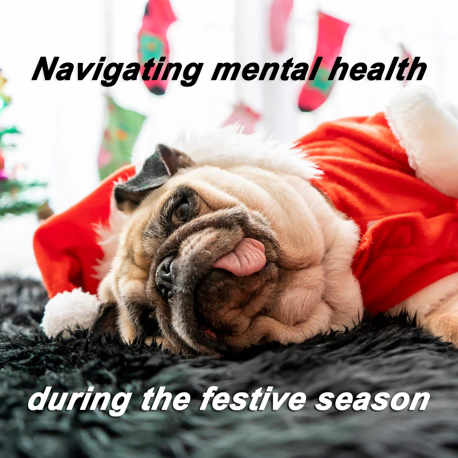 Navigating mental health during the festive season